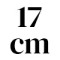 17 cm 