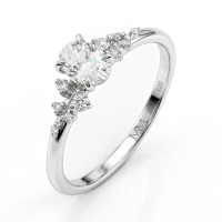 Ovaline - Ovaal Moissanite Ring met Minimalistische Zijstenen