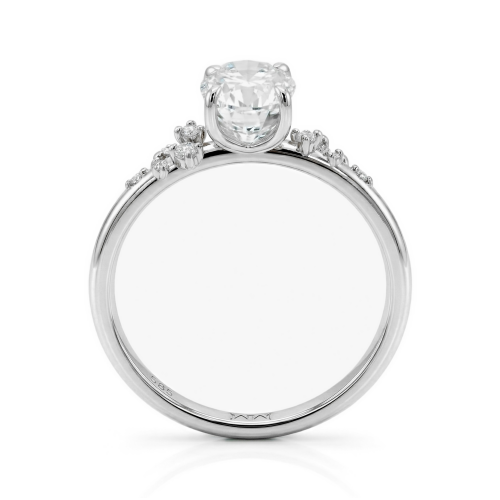 Ovaline - Ovaal Moissanite Ring met Minimalistische Zijstenen