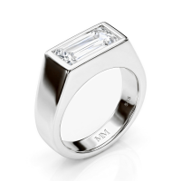 Maxton - Rechthoekige Moissanite Heren Ring