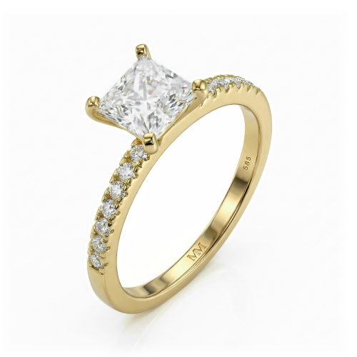 Celestia - princess cut moissanite ring met pavé zijstenen