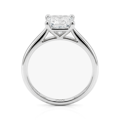 Moissanite Ringen in Platina