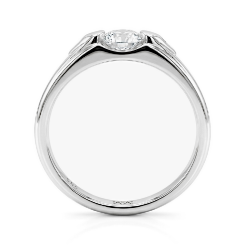 Moissanite Ringen in Platina