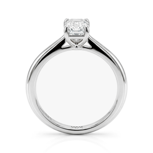 Moissanite Ringen in Platina