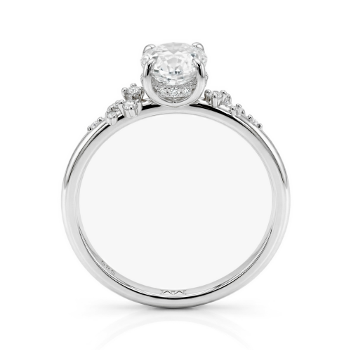 Moissanite Ringen in Platina