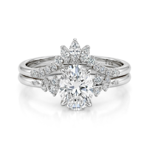 Moissanite Ringen in Platina