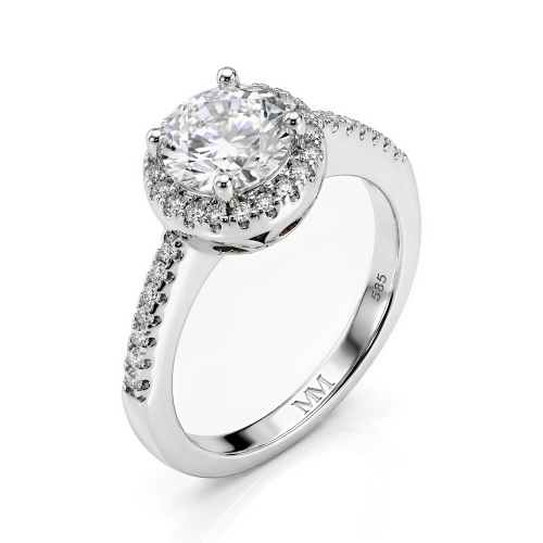 Seraphina - Moissanite Halo Verlovingsring