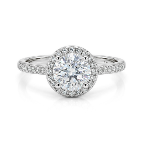 Moissanite Ringen in Platina