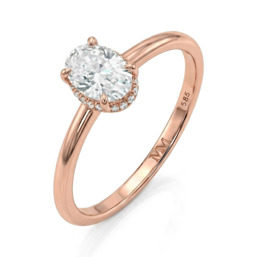 Ovalisse - Ovaal Geslepen Moissanite Ring Met Circle Hidden Halo