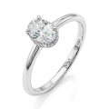 Ovalisse - Ovaal Geslepen Moissanite Ring Met Circle Hidden Halo