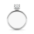 Ovalisse - Ovaal Geslepen Moissanite Ring Met Circle Hidden Halo
