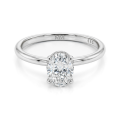 Ovalisse - Ovaal Geslepen Moissanite Ring Met Circle Hidden Halo