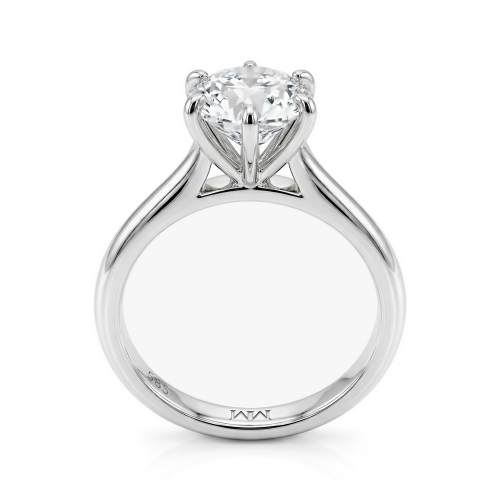 Moissanite Ringen in Platina
