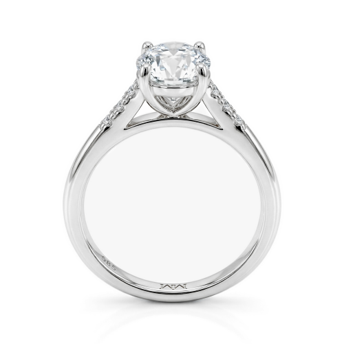 Mirage - Ovaal Geslepen Moissanite Verlovingsring Met Pavé Zijstenen