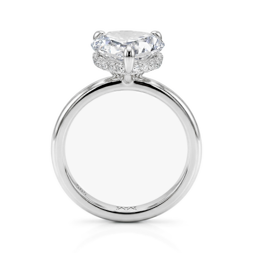 Moissanite Ringen in Platina
