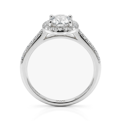 Moissanite Ringen in 925 Zilver