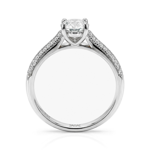 Moissanite Ringen in 925 Zilver