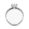 Serena - Moissanite Ring Met Dubbele Pavé Zijstenen