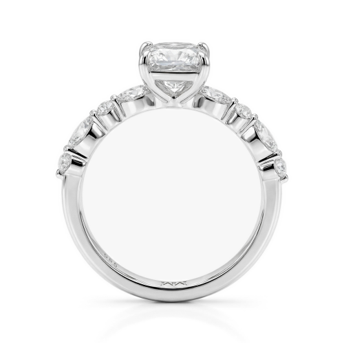 Moissanite Ringen in Platina