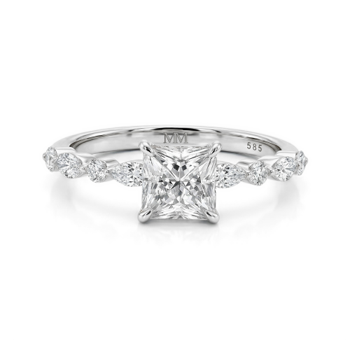 Moissanite Ringen in Platina