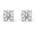 Nova - Moissanite oorbellen