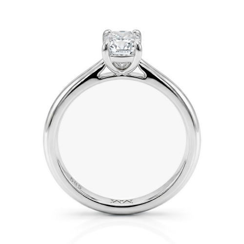 Moissanite Ringen in Platina