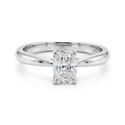 Moissanite Ringen in Platina