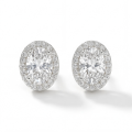 Ellipse - Ovale Moissanite Stud Oorbellen in Halo Zetting
