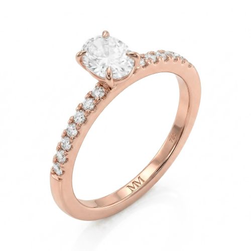 Nina - Ovaal Moissanite Ring met Pavé Zijstenen