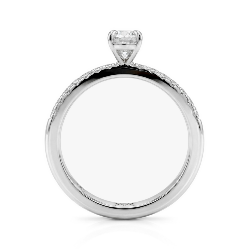 Nina - Ovaal Moissanite Ring met Pavé Zijstenen