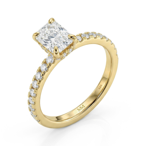 Astra - radiant moissanite ring met pavé zijstenen en hidden halo