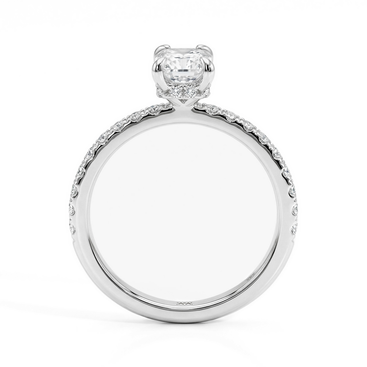Astra - moissanite ring met pavé zijstenen en hidden halo