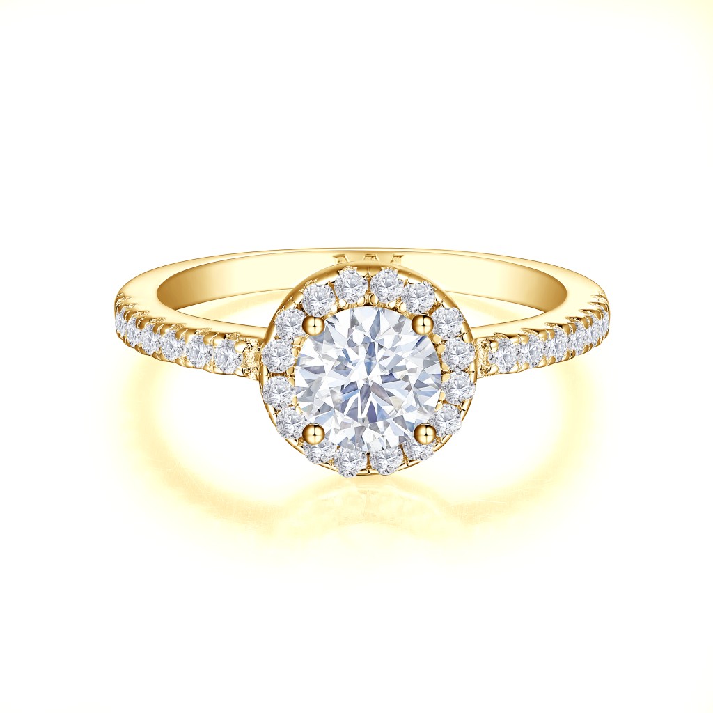Dynara - Moissanite Verlovingsring Met Halo En Pavé Band