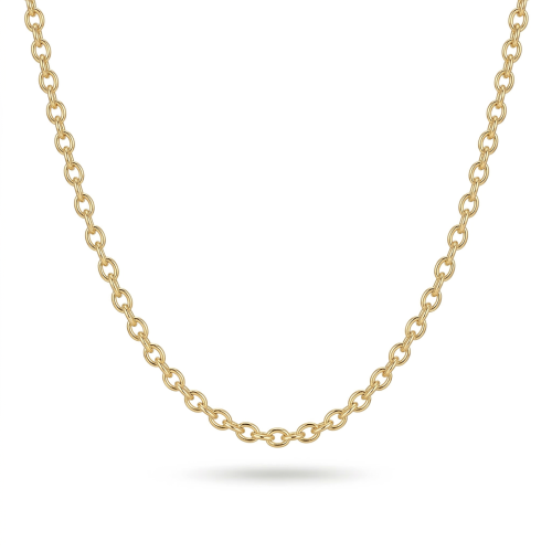Schakelketting