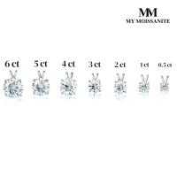 Terra - Solitair Moissanite Hanger (zonder ketting)