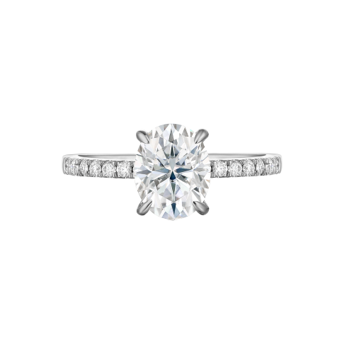 Nina - Ovaal Moissanite Ring met Pavé Zijstenen