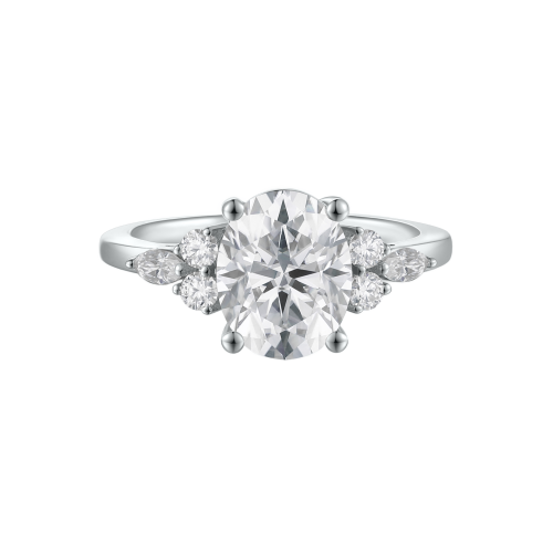 Lustrina - Ovaal Moissanite Ring met Schitterende Accenten