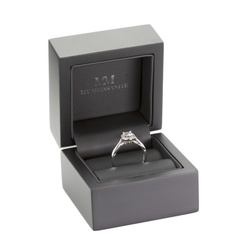 Moissanite Ringen in 925 Zilver
