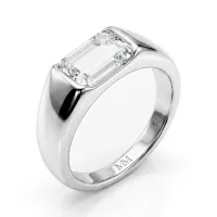 Portraitix - Heren Portrait Geslepen Moissanite Ring 