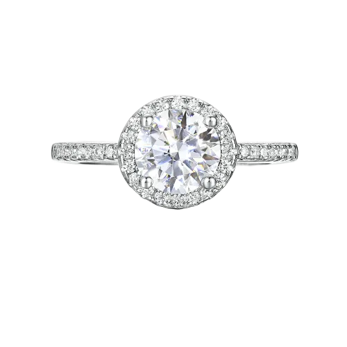 Seraphina - Moissanite Halo Engagement Ring